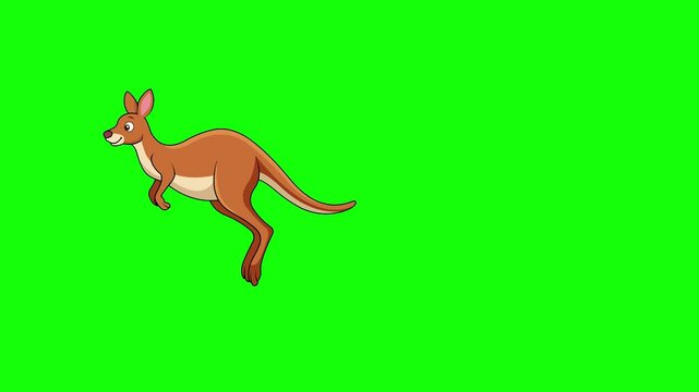 Cute Cartoon Kangaroo Jumping Loop 2D Animation 4k Green Screen