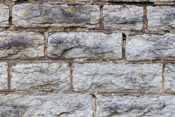 Stone brick wall texture with shallow depth of field