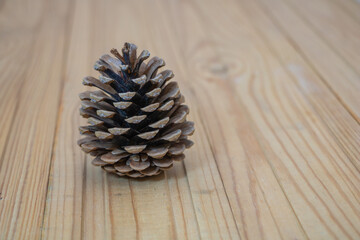 Single Pine Cone on Natural Wooden Surface with Minimal Background