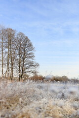 Winter landscapes on the Pisa River