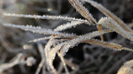 Winter landscapes on the Pisa River