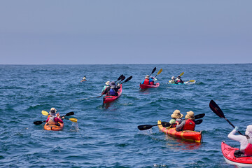 Sea kayakers explores the rugged coasts of Arequipa, navigating turquoise waters and narrow channels carved between ancient rocks. Raw beauty of Peru’s southern shoreline.
