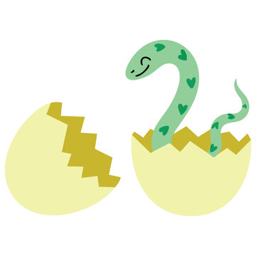 Happy baby snake hatching from egg cute vector illustration birth