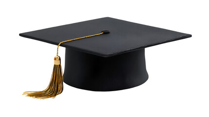 Professional Fountain Pen for Business Signatures and Legal Documents