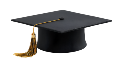 Professional Fountain Pen for Business Signatures and Legal Documents