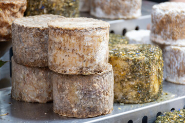 Sfizioso matured italian cheese high-quality, flavorful Italian cheese from sheeps pecora milk on...