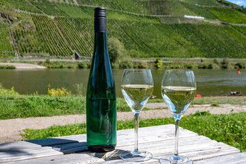 Drinking German dry white riesling wine with view on terraced vineyards in Punderich wine willage on Moselle river valley, wine making industry in Germany, glasses of wine