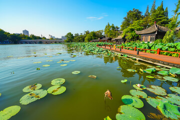 View of a beautiful Chinese pond in Nantong city near Shanghai in China.
