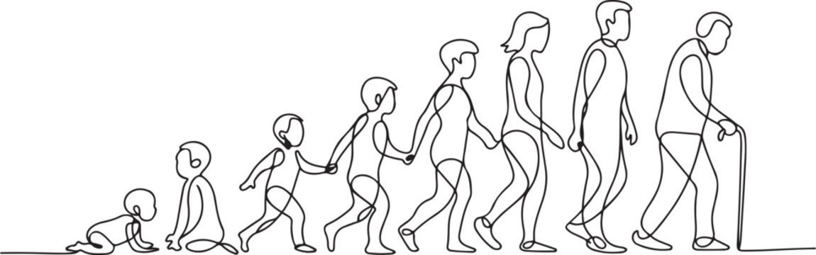 Continuous one line drawing showing human life evolution from crawling baby to elderly with cane. one line Art icon drawing