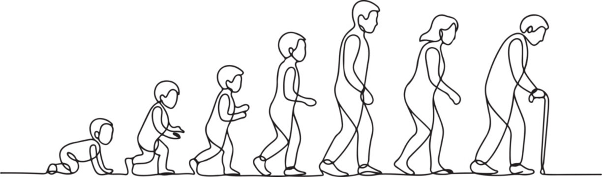 Continuous one line drawing showing human life evolution from crawling baby to elderly with cane. one line Art icon drawing