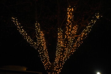 Garlands of glowing small bulbs, hanging on a tree in an evening dark park, and swinging. The theme of the New Year and Christmas. Festive atmosphere. Beautiful electric outdoor decorations. Xmas joy