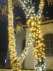 Garlands of glowing small bulbs, hanging on a tree in an evening dark park, and swinging. The theme of the New Year and Christmas. Festive atmosphere. Beautiful electric outdoor decorations. Xmas joy