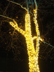 Garlands of glowing small bulbs, hanging on a tree in an evening dark park, and swinging. The theme of the New Year and Christmas. Festive atmosphere. Beautiful electric outdoor decorations. Xmas joy