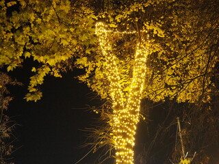 Garlands of glowing small bulbs, hanging on a tree in an evening dark park, and swinging. The theme of the New Year and Christmas. Festive atmosphere. Beautiful electric outdoor decorations. Xmas joy