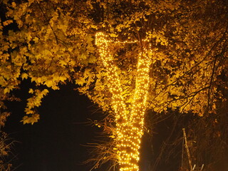Garlands of glowing small bulbs, hanging on a tree in an evening dark park, and swinging. The theme of the New Year and Christmas. Festive atmosphere. Beautiful electric outdoor decorations. Xmas joy