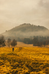 Krzyżna Góra w Karpnikach - Rudawy Janowickie, podczas roztopów po zimie, brązowowe, rude krajobrazy Gór Sokolich © krzys ser