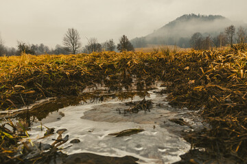 Krzyżna Góra w Karpnikach - Rudawy Janowickie, podczas roztopów po zimie, brązowowe, rude krajobrazy Gór Sokolich © krzys ser