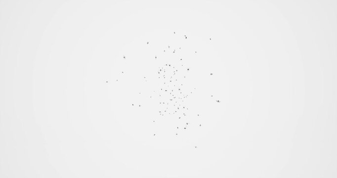 bug swarm explosion effect on white background