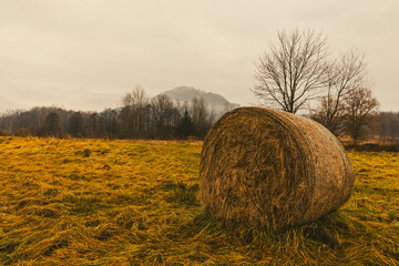 Krzyżna Góra w Karpnikach - Rudawy Janowickie, podczas roztopów po zimie, brązowowe, rude krajobrazy Gór Sokolich © krzys ser