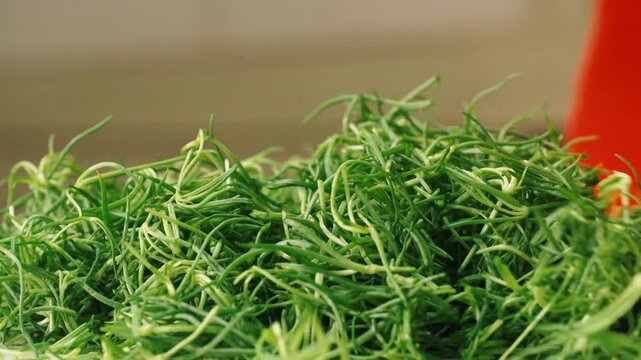 Chopping Fresh Seabalnamul 