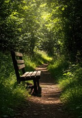 Rustic wooden bench sits quietly on a sun-dappled path in a lush green natural environment. Perfect spot for peaceful solitude, nature, sunlight, parkland