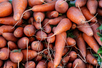 carrot for sale at a street market in Sao Paulo, Brazil.