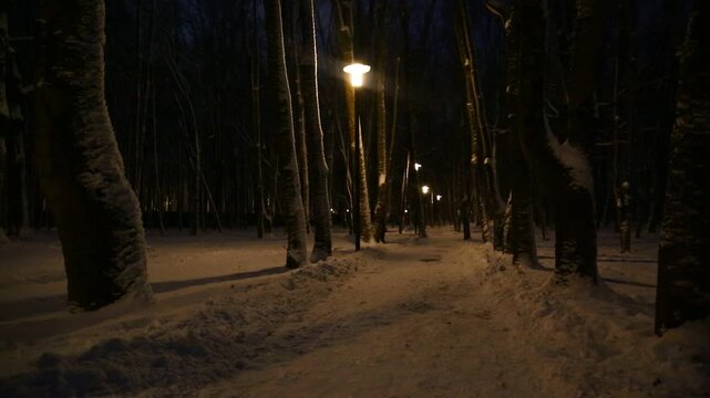 White road in the winter snow forest. Natural colors in street lamp light