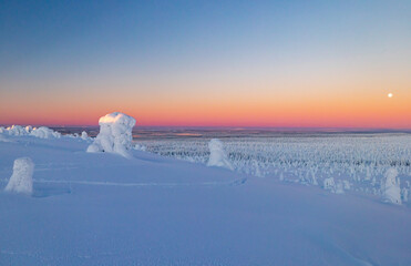 winter landscape with snow