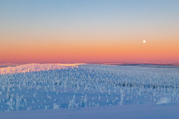 sunrise in the winter