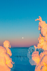 winter landscape at sunset