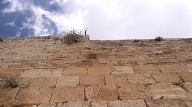White Dove Flying Western Wall Jerusalem

footage of a white dove flying along the ancient Western Wall stones in the Old City of December 27 2025.
