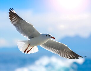 Obraz premium A seagull soaring in a vibrant blue sky