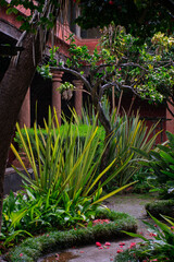 Flores Pantas y Naturaleza