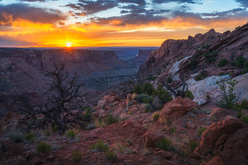 beautiful sunset in canyonlands national park in utah, usa