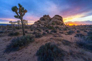 beautiful sunset in joshua tree national park in california, usa