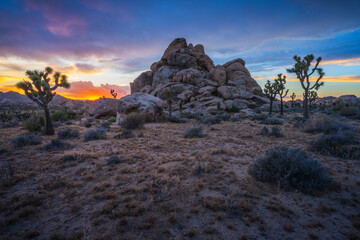 beautiful sunset in joshua tree national park in california, usa