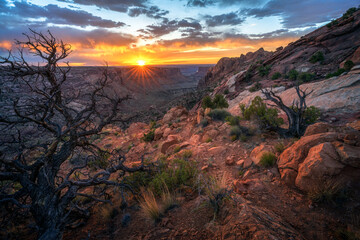 beautiful sunset in canyonlands national park in utah, usa