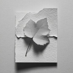 Black and white art, leaf on textured paper, with a torn edge, creating a visual contrast