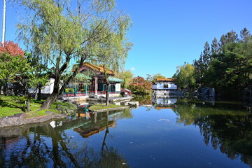 天寿園の庭園内に色づく紅葉（新潟県新潟市中央区）