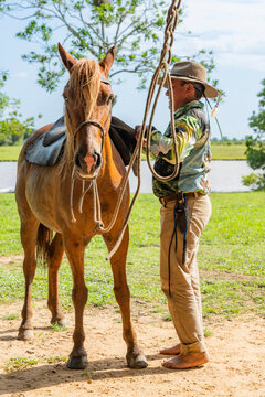 Colombian cowboy saddles horse in Casanare landscape