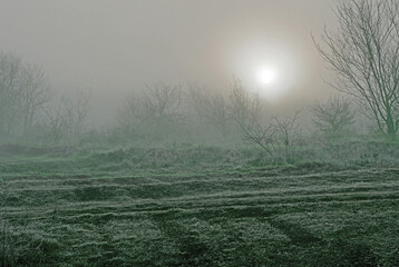 Sunrise on a foggy winter day