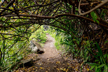 Mafate Circus Galets river and mountains in Reunion Island in Indian Ocean