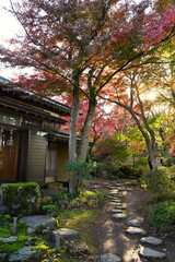 越路もみじ園に広がる紅葉の風景（新潟県長岡市）
