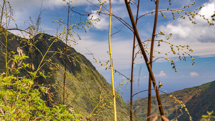 Mafate Circus Galets river and mountains in Reunion Island in Indian Ocean