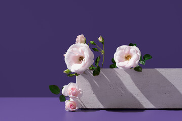 Delicate blooms in a modern setting with purple hue