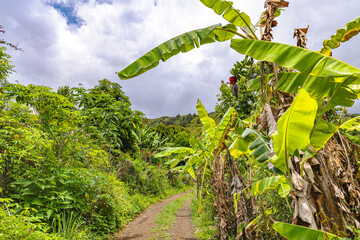 Mafate Circus Galets river and mountains in Reunion Island in Indian Ocean