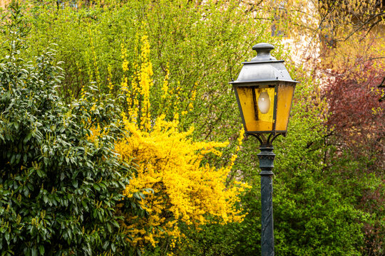 Vintage lamppost amidst spring blooms in Annecy