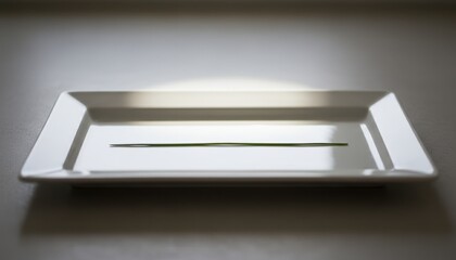 Minimalist Presentation of a Single Green Chive Stalk on a Rectangular White Ceramic Plate With Soft Spotlight Overhead Lighting