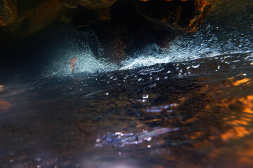Tranquil underwater view of bubbling stream flow