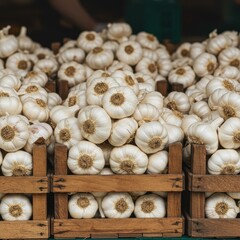 Rustic wooden crates overflow with fresh, fragrant white garlic bulbs, stacked high for display at a bustling farmers produce market stall, crate, display, cooking